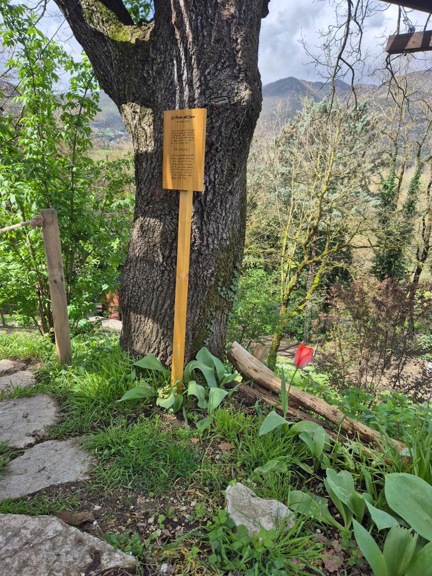 B&B Colle Di Terria Country House Contigliano Exterior foto