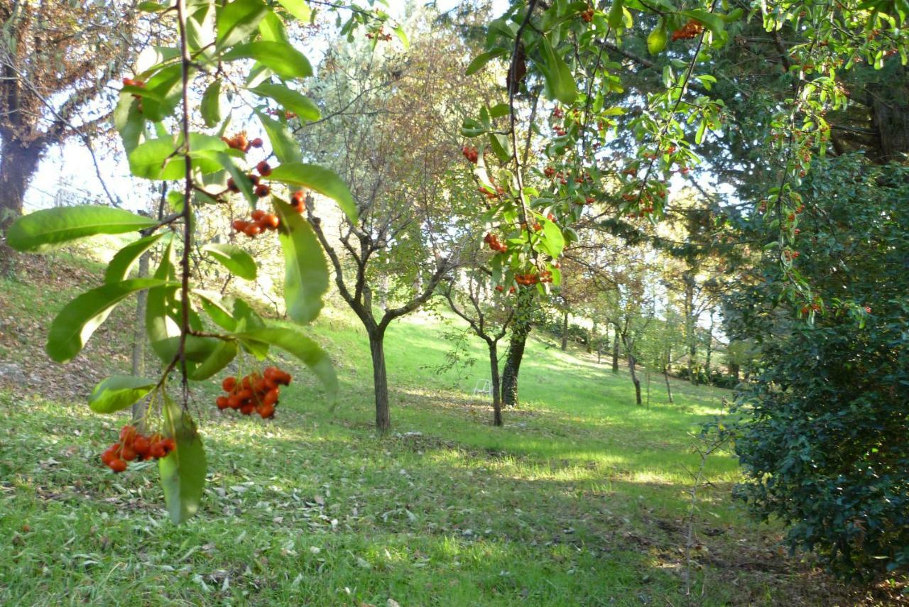 B&B Colle Di Terria Country House Contigliano Exterior foto